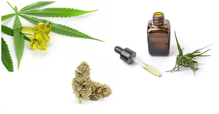 Pourquoi consommer du CBD ?